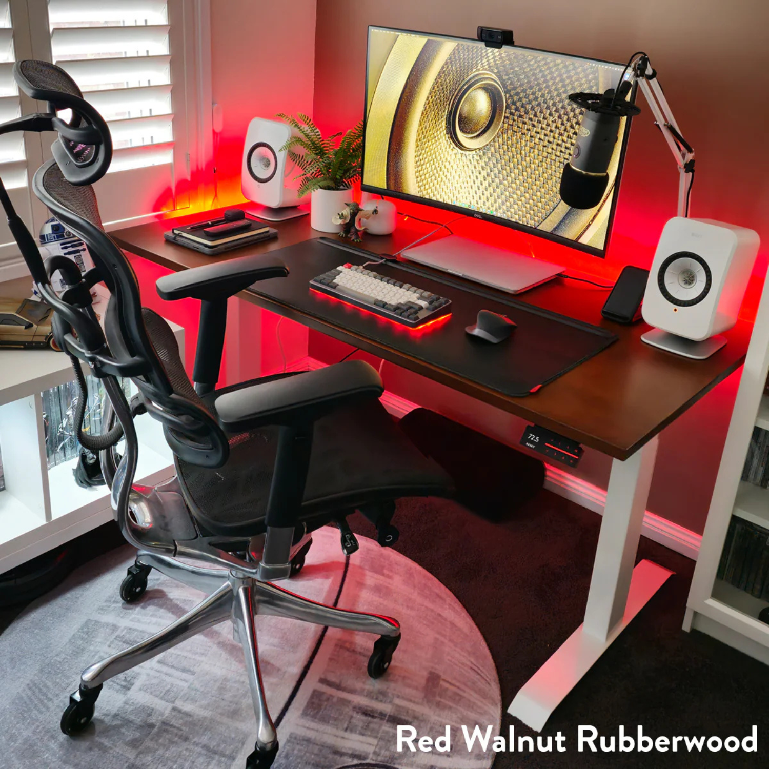 Brelavu X-Lift: The Dual Rubberwood Signature Edition